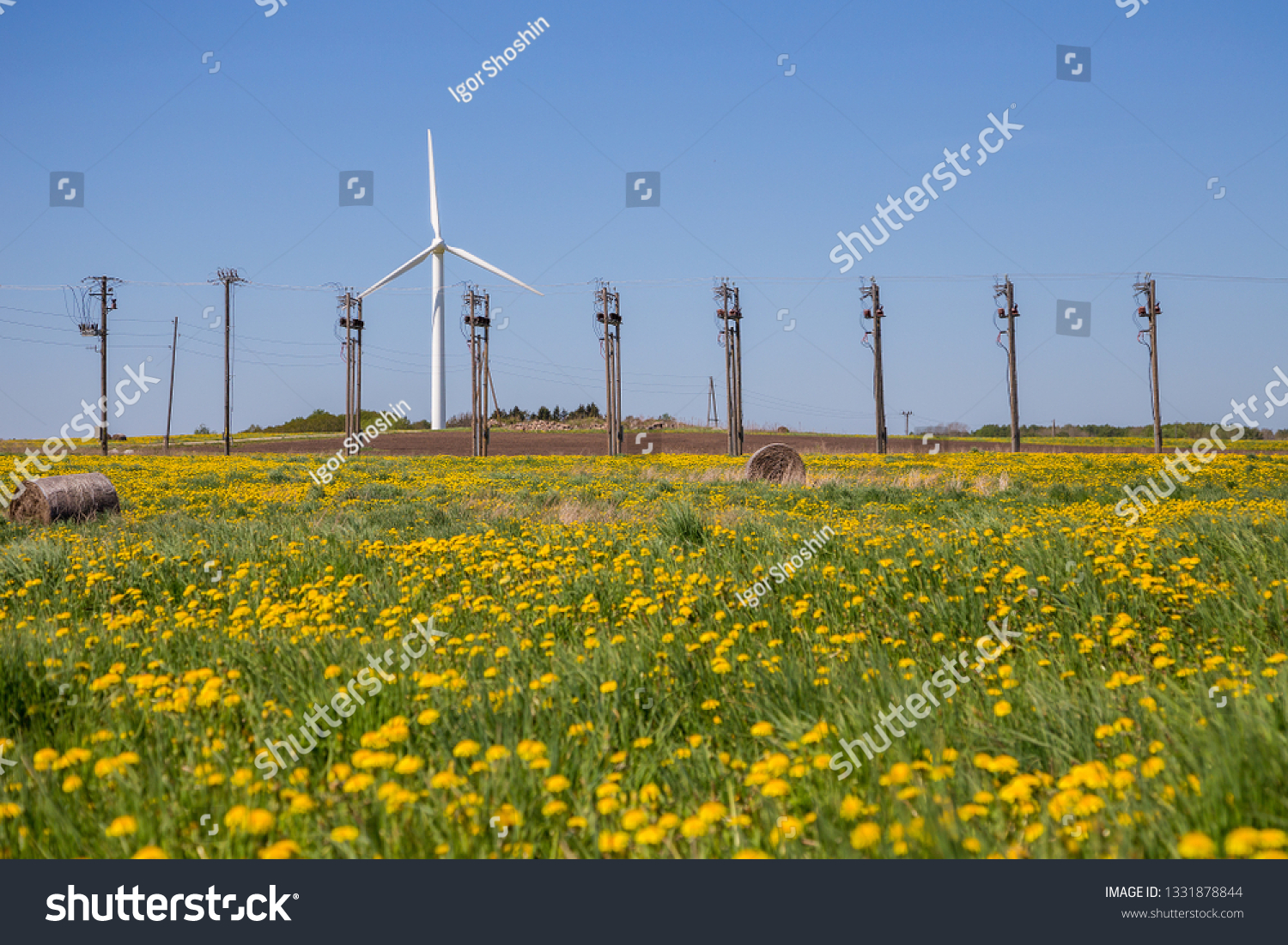 Wind turbines in a field in spring. A field of dandelions.
Poles for transportation of electricity. #1331878844