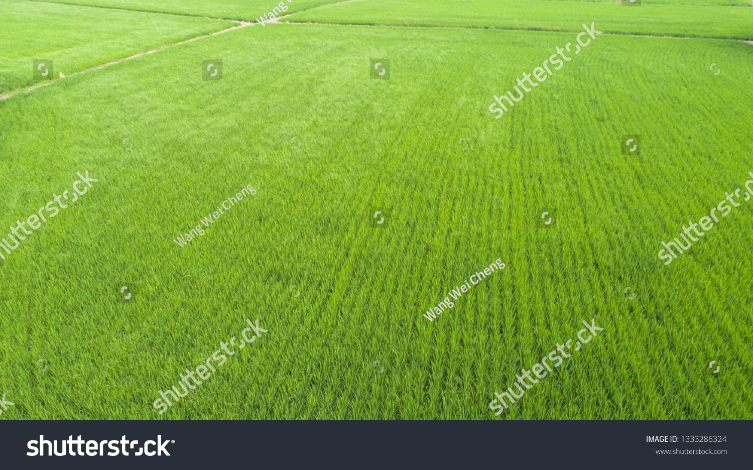 Aerial view of farmlands. Vintage tone. Bright and vivid green. Spring farmland. Taiwan farmland. #1333286324