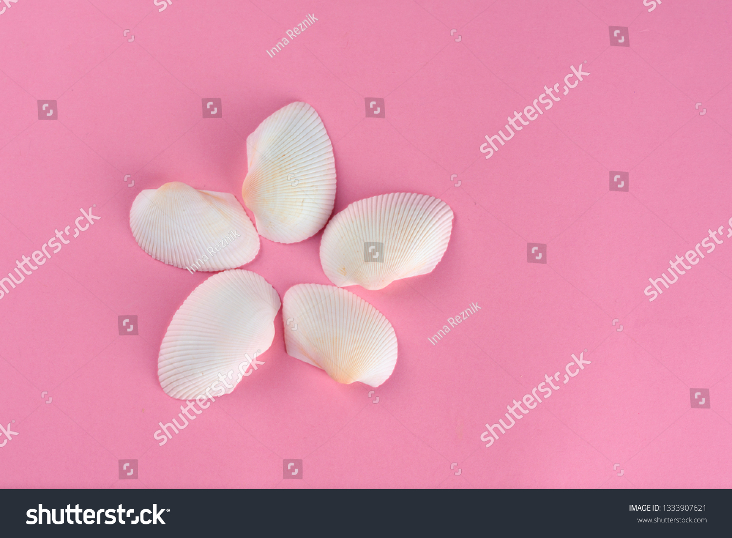 Seashell or sea shell on pink textured background. Original idea from natural material for summer design. Flat lay. #1333907621