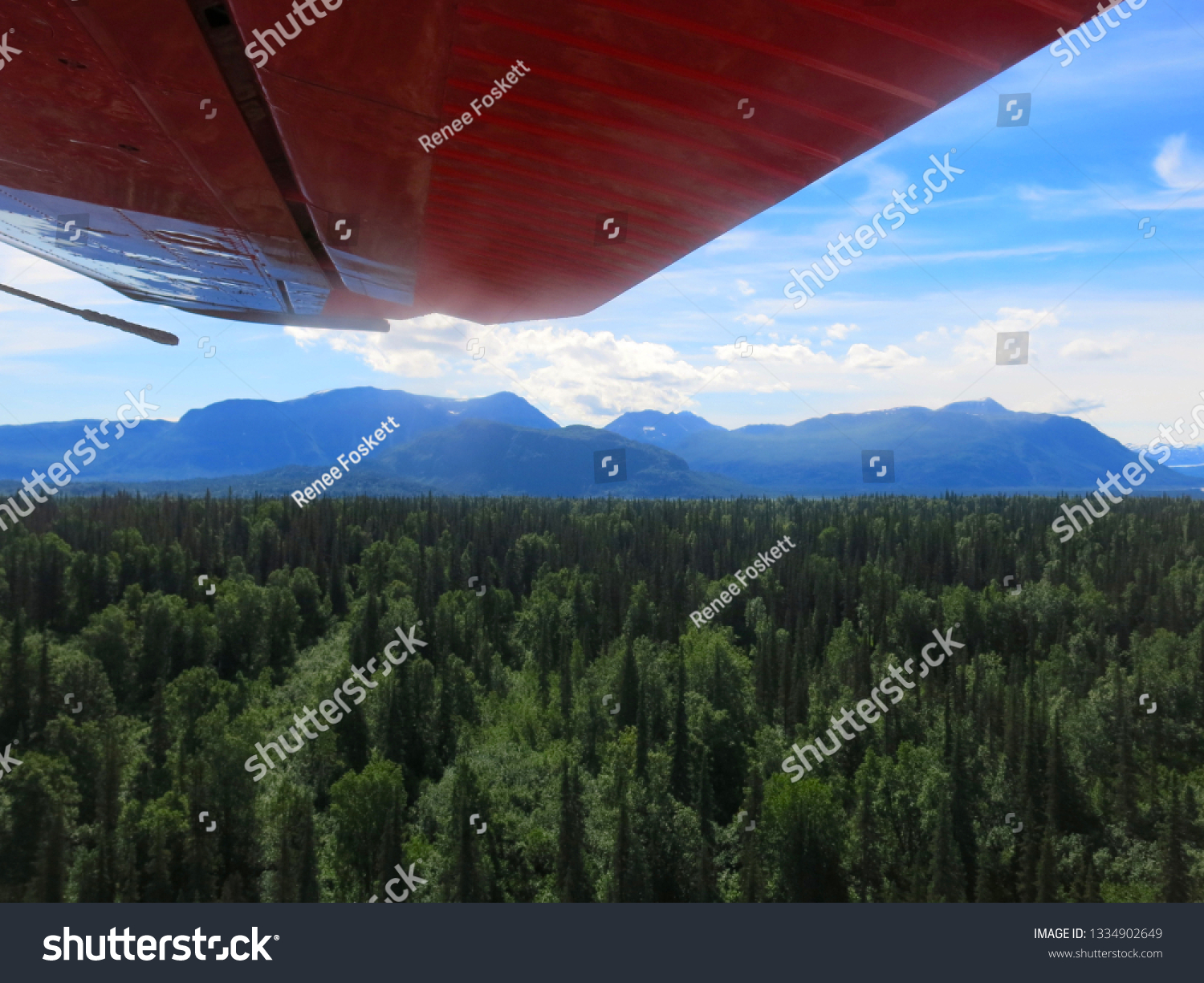 Alaskan Wilderness from Airplane #1334902649