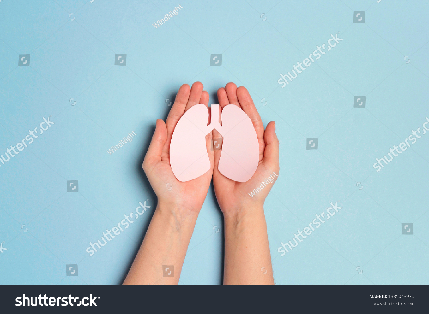 Women's hands hold a lungs symbol on blue background. World Tuberculosis Day. Healthcare, medicine, hospital,  diagnostic, internal donor organ. #1335043970