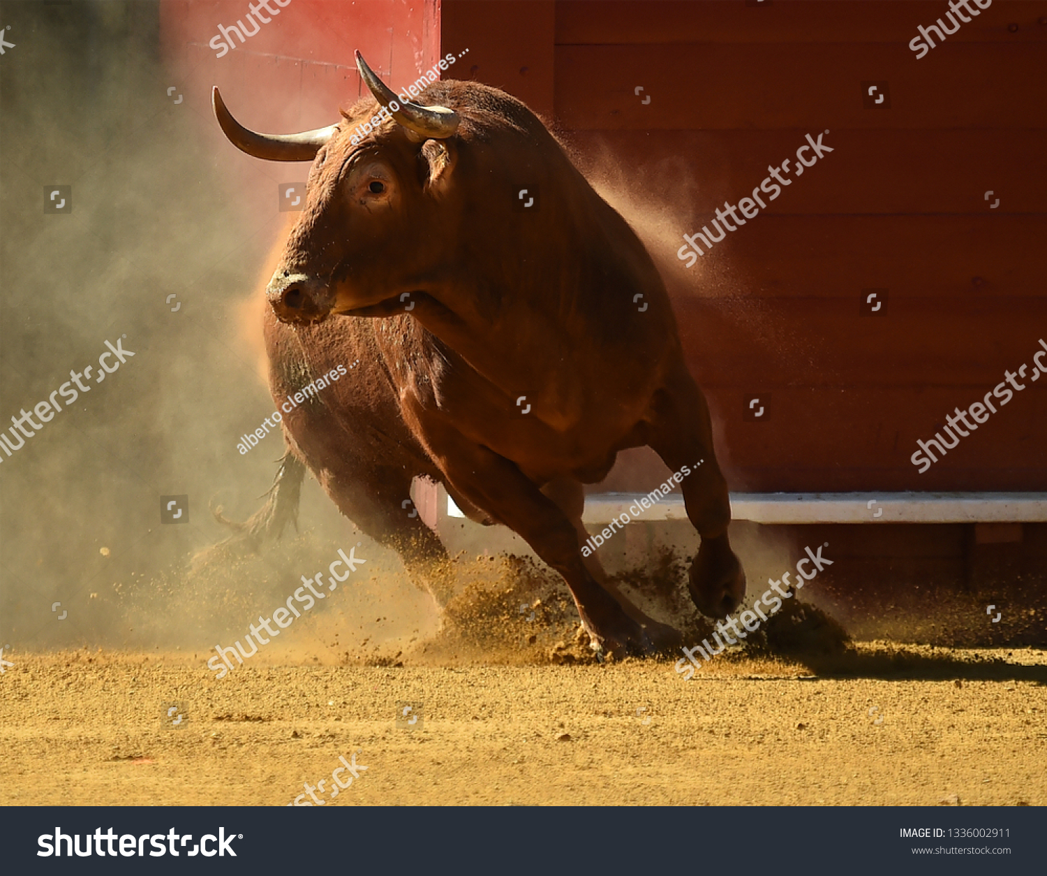 spanish red bull #1336002911