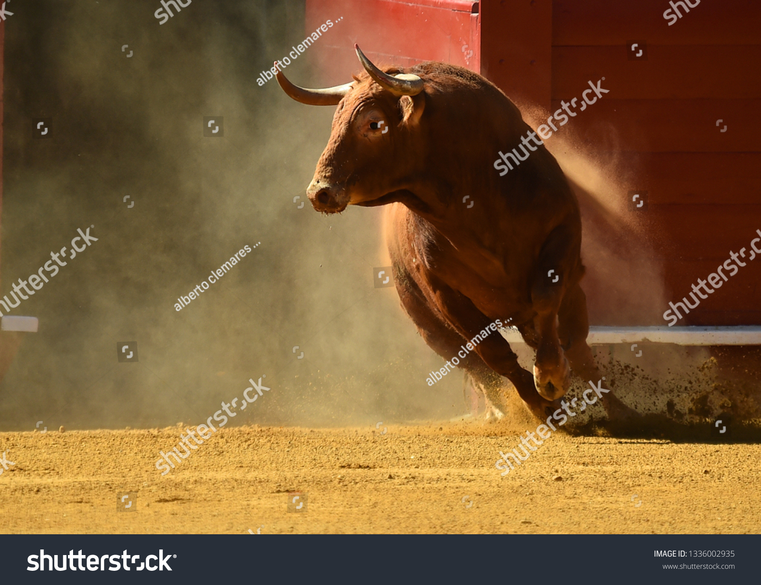 spanish red bull #1336002935
