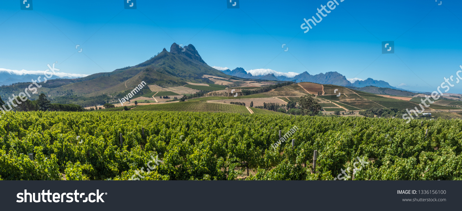 Beautiful landscape of Cape Winelands, wine growing region in South Africa
 #1336156100