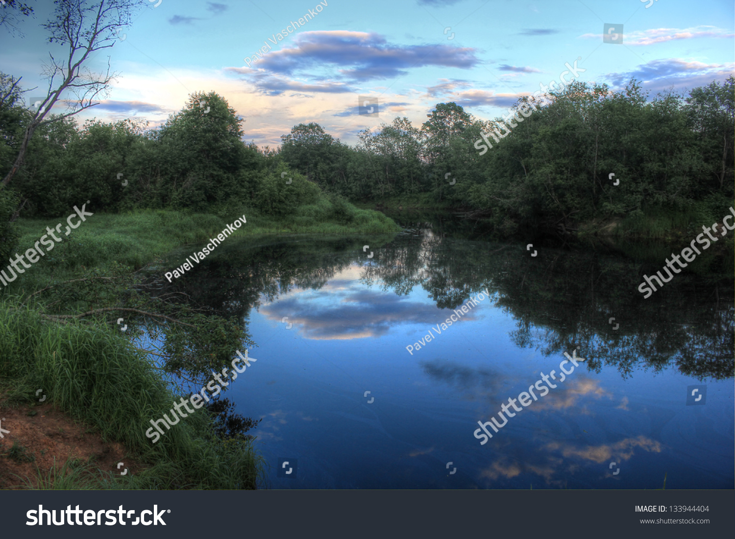 forest river, Russia #133944404