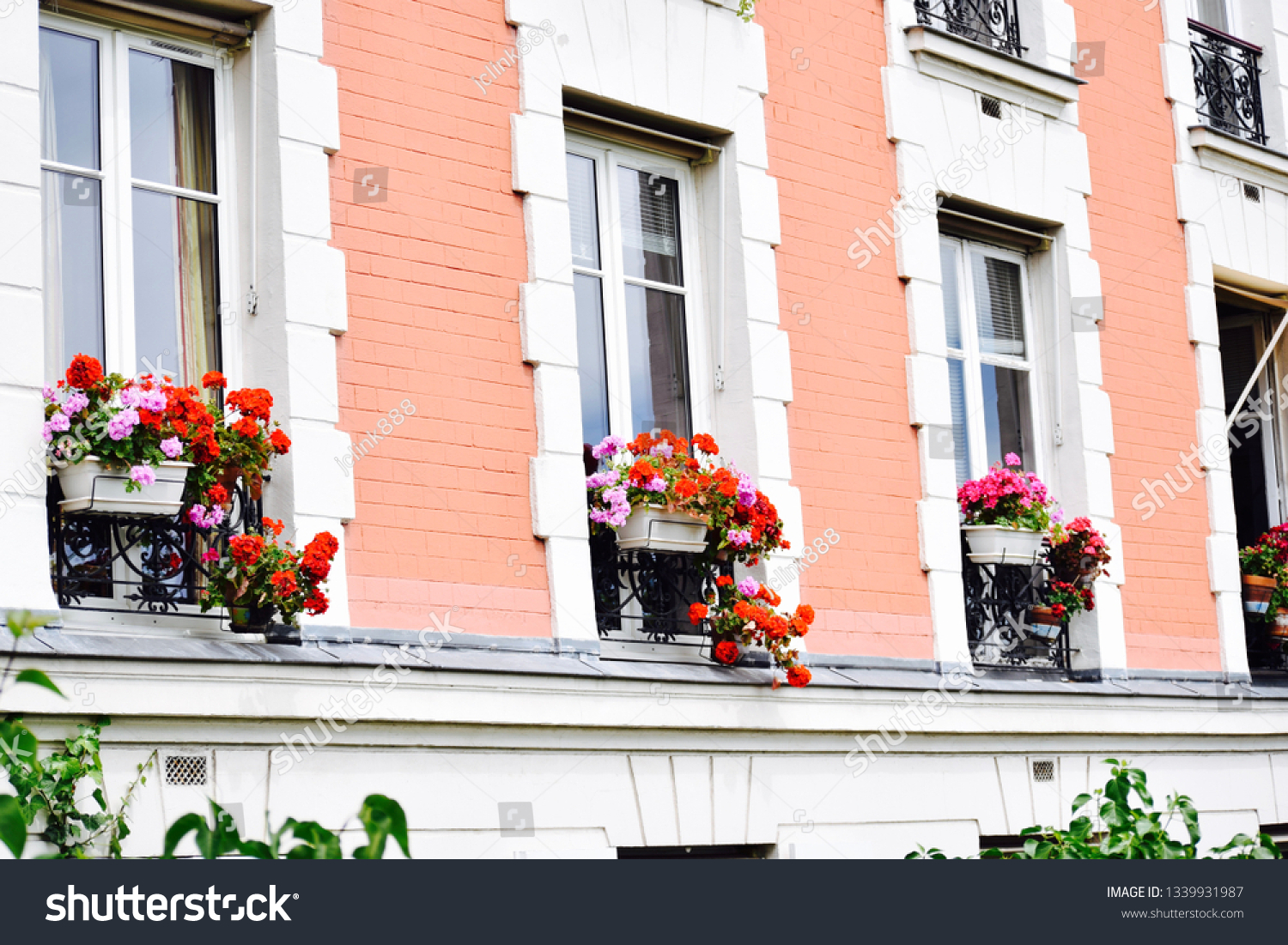 Spring flowers of Paris #1339931987