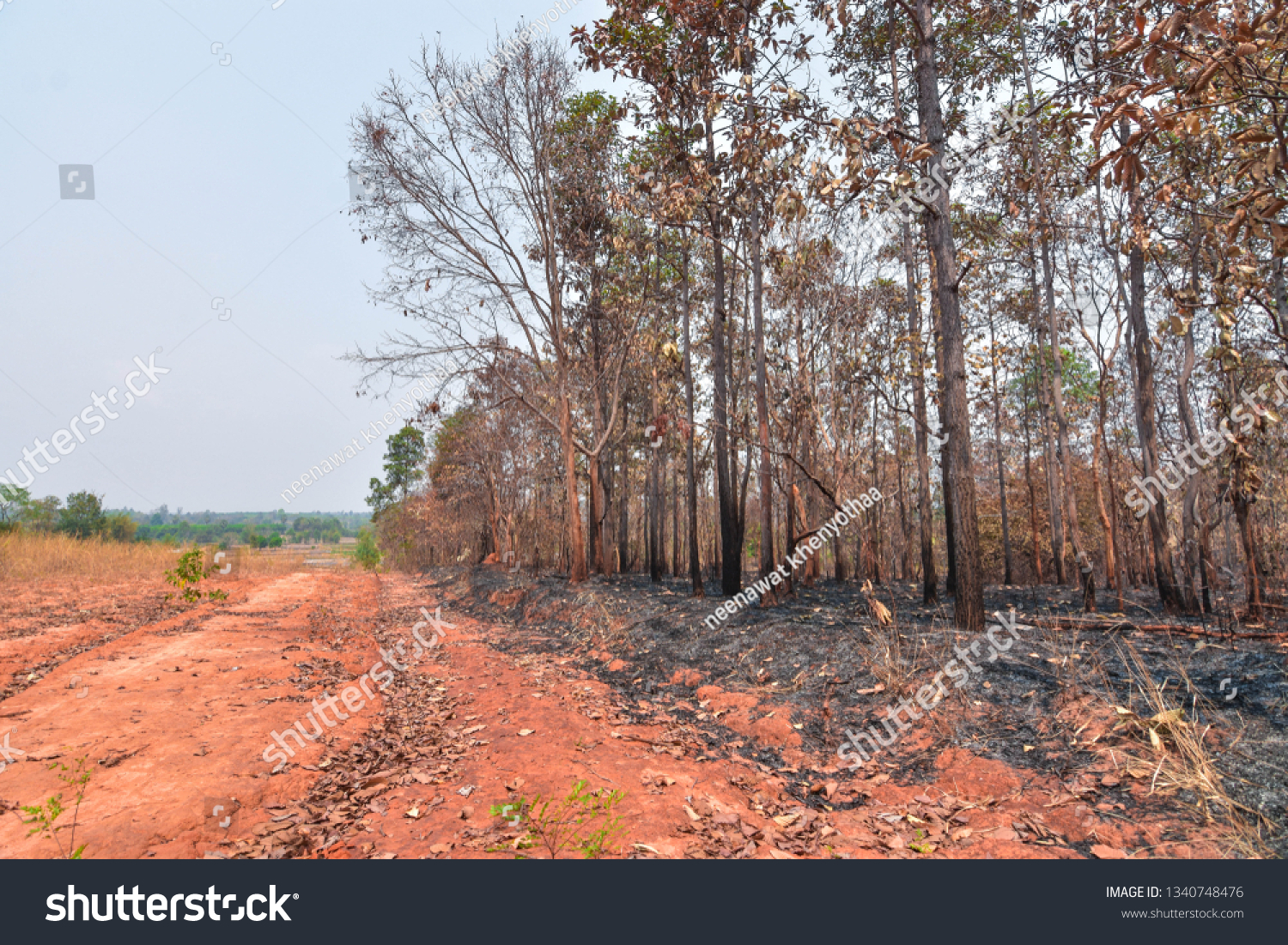 Fires, deciduous forests, mixed deciduous forests during the dry season of Southeast Asia
 #1340748476