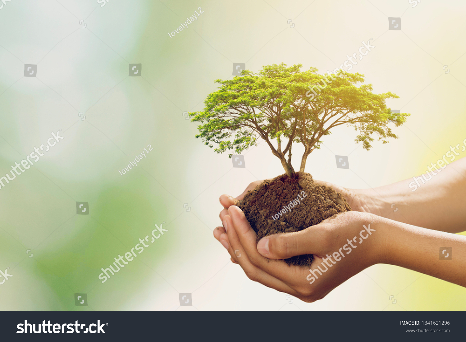hand holdig big tree growing on green background #1341621296
