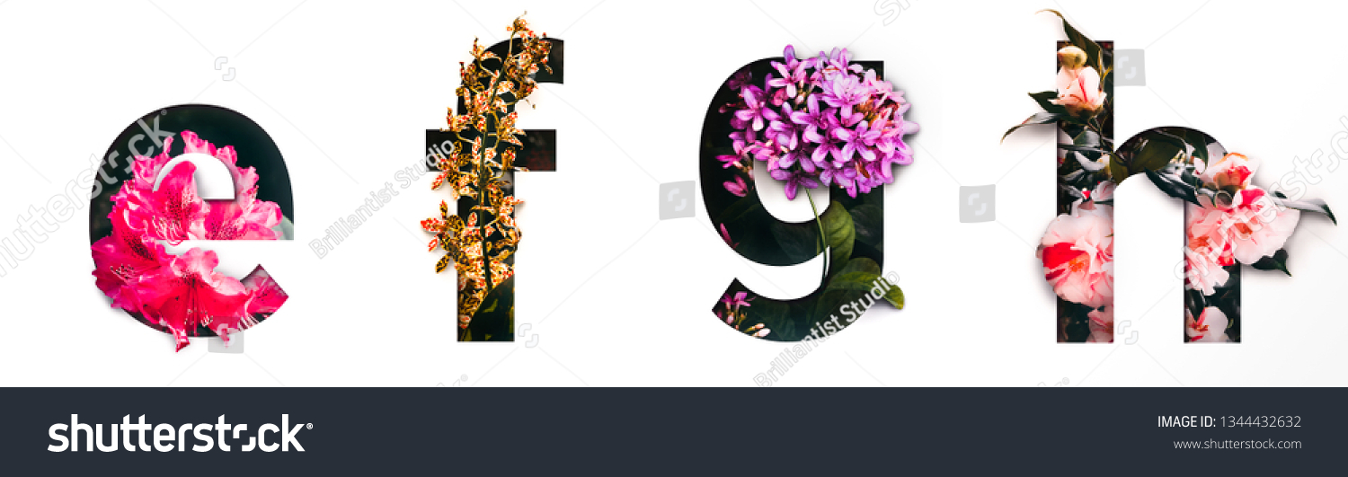 Flower font letter e, f, g, h Create with real alive flowers and Precious paper cut shape of alphabet. Collection of brilliant bloom flora font for your unique text, typography with many concept ideas #1344432632