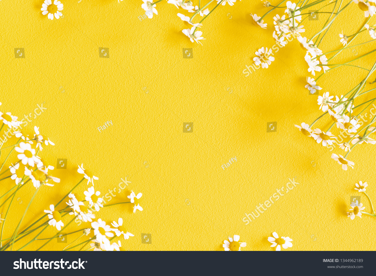 Flowers composition. Chamomile flowers on yellow background. Spring, summer concept. Flat lay, top view, copy space #1344962189
