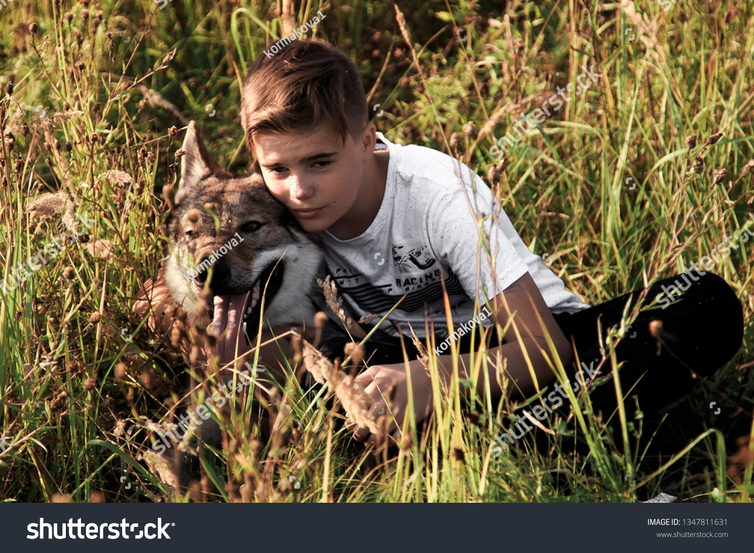 Nizhny Novgorod city,Nizhny Novgorod region,Russian Federation. 09.13.2018.Editorial. Teenage boy walking in the field with a wild wolf. The friendship of a boy and a wild beast. The loyalty of a wolf #1347811631
