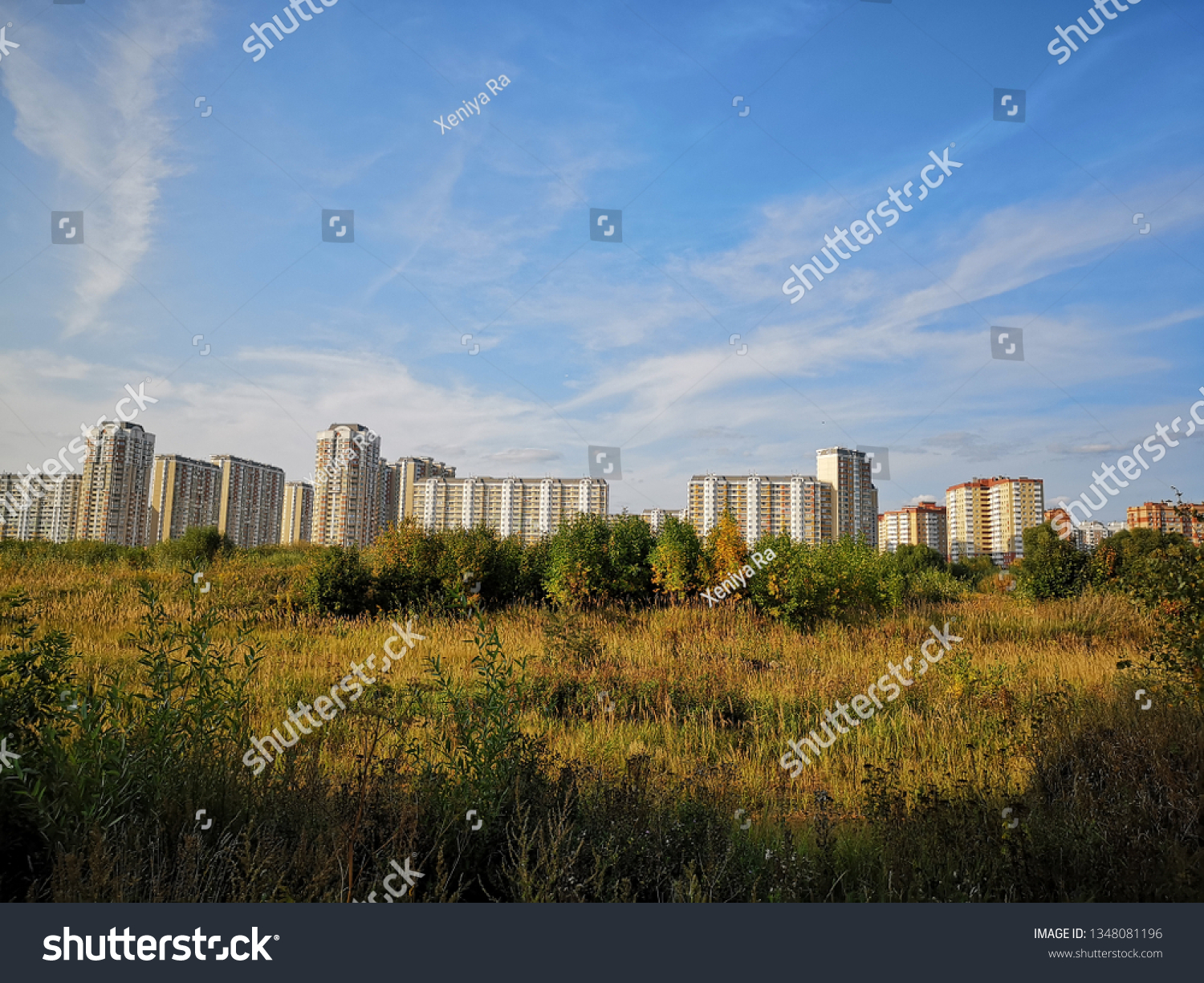 View of the sleeping area of the city with colored multi-storey houses standing at the other end of the field overgrown with tall yellow grass #1348081196