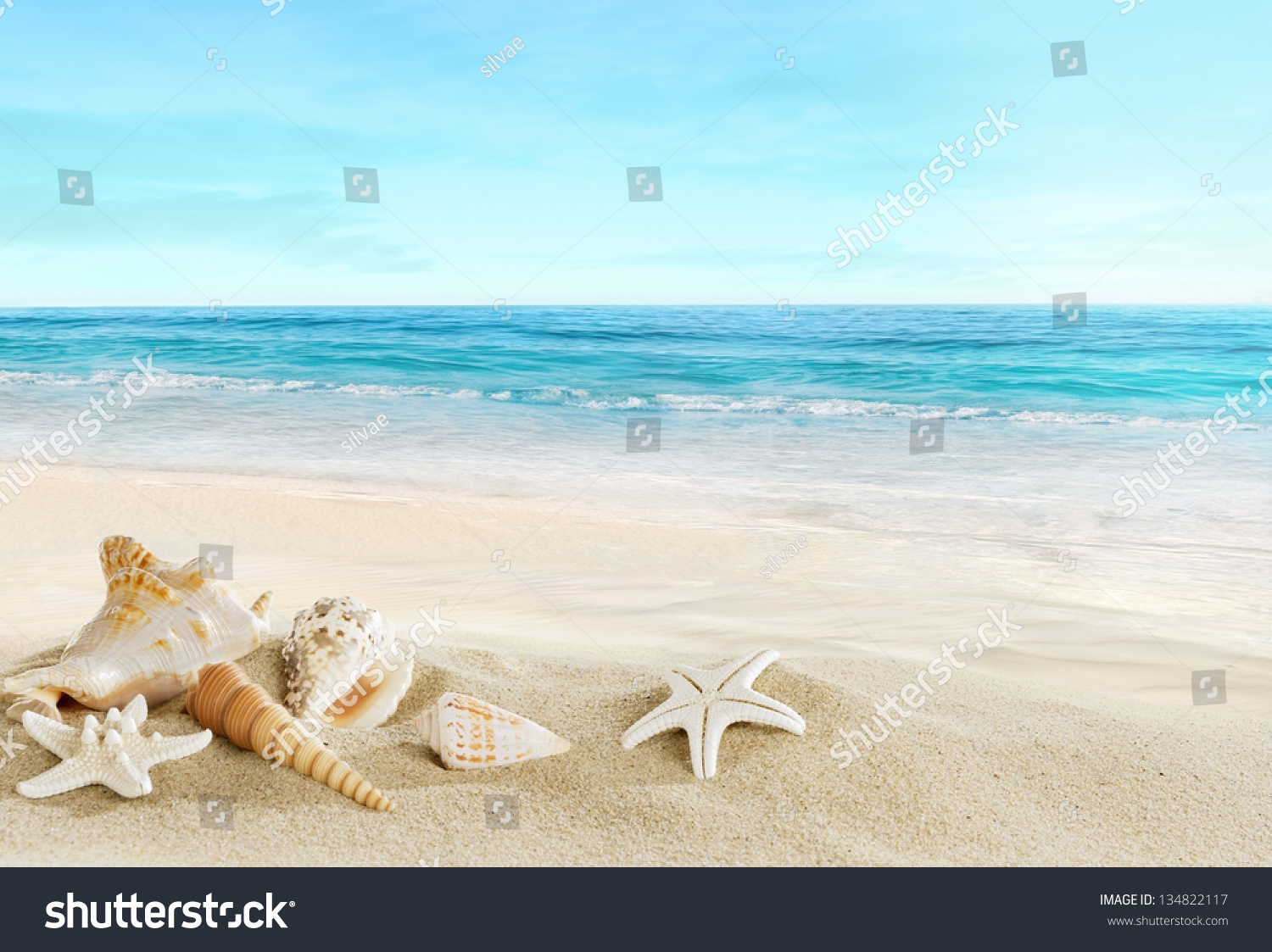 отдых песок пляж загрузить