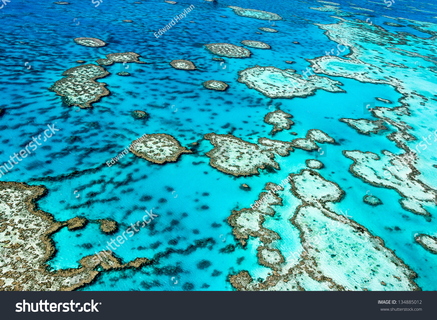 The Great Barrier Reef in Queensland, Australia. #134885012