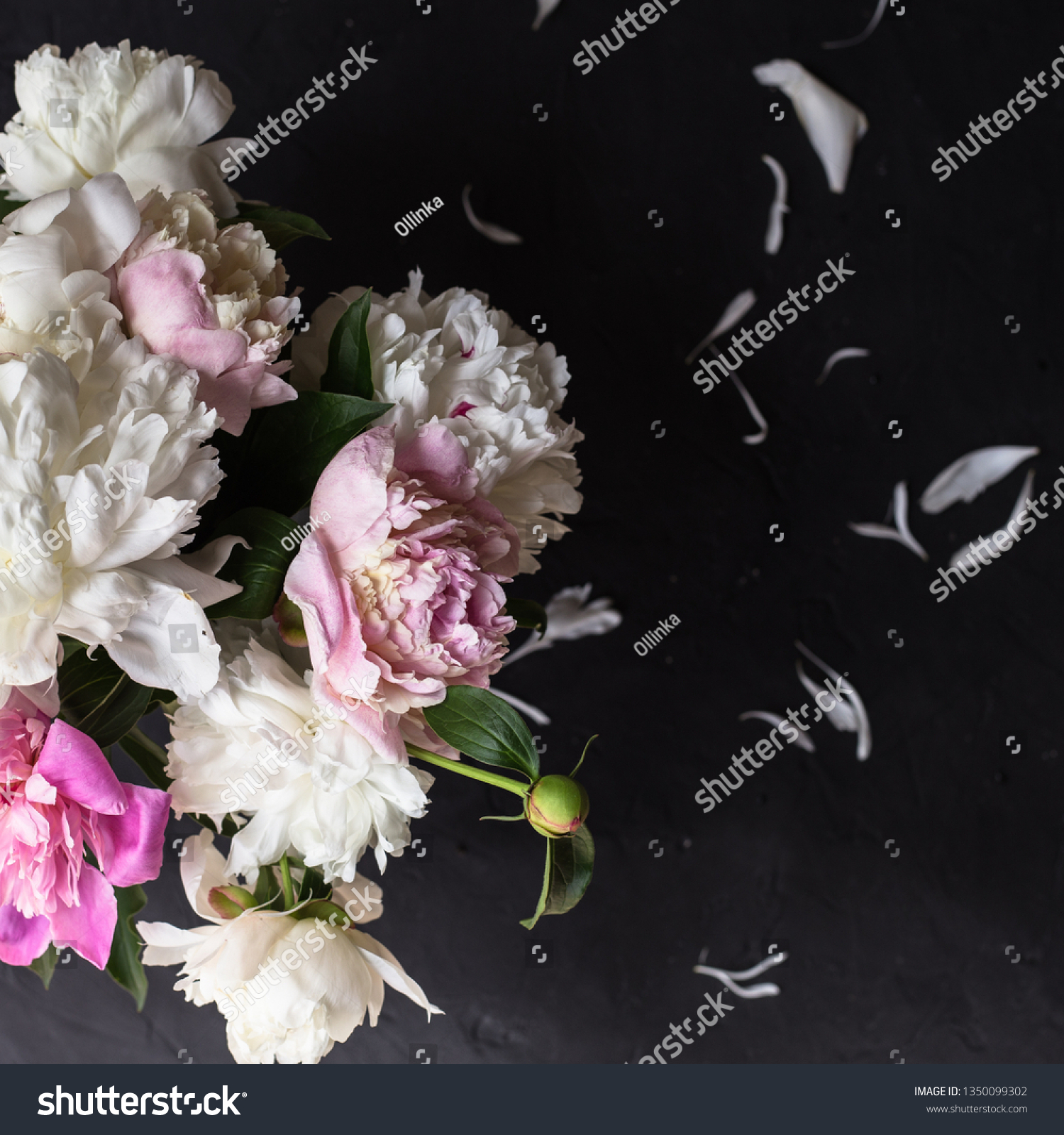 Peonies bouquet on black background #1350099302