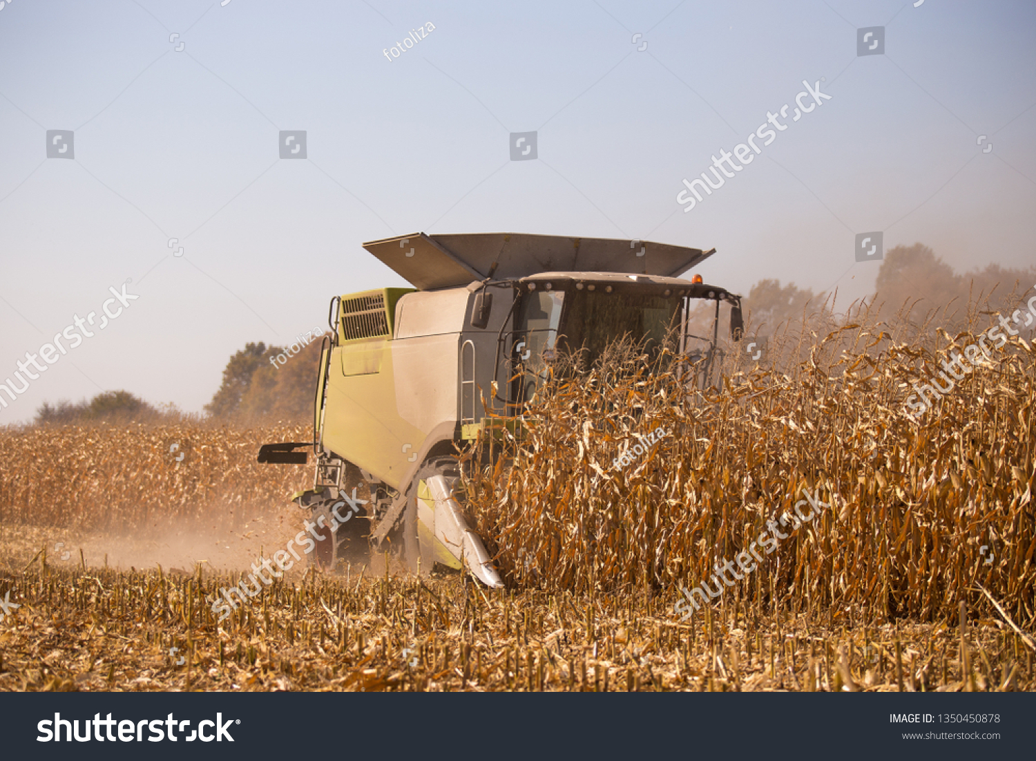 The theme is agriculture. A modern combine harvester in the field performs grain harvesting on a sunny day against a blue sky. Farm and automation using machines #1350450878