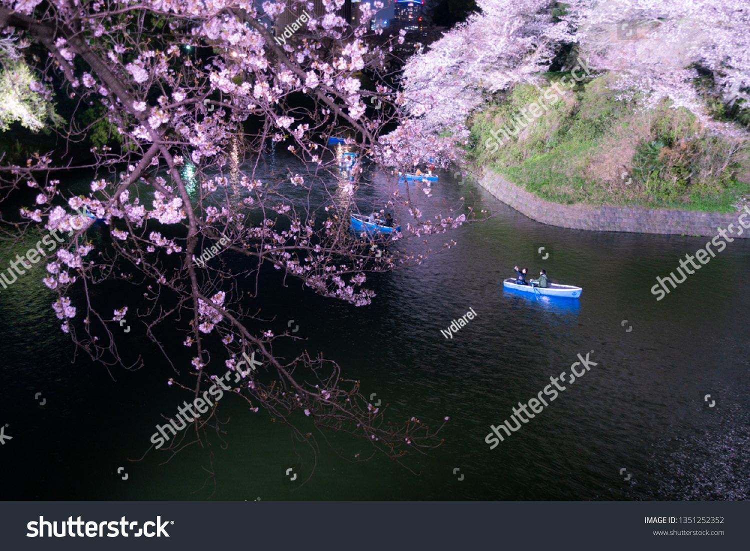 Sakura (cherry blossom) light up at famous outdoor park, Chidorigafuchi at Tokyo, Japan. Boat activity along the river is one of the popular leisure during this season. #1351252352