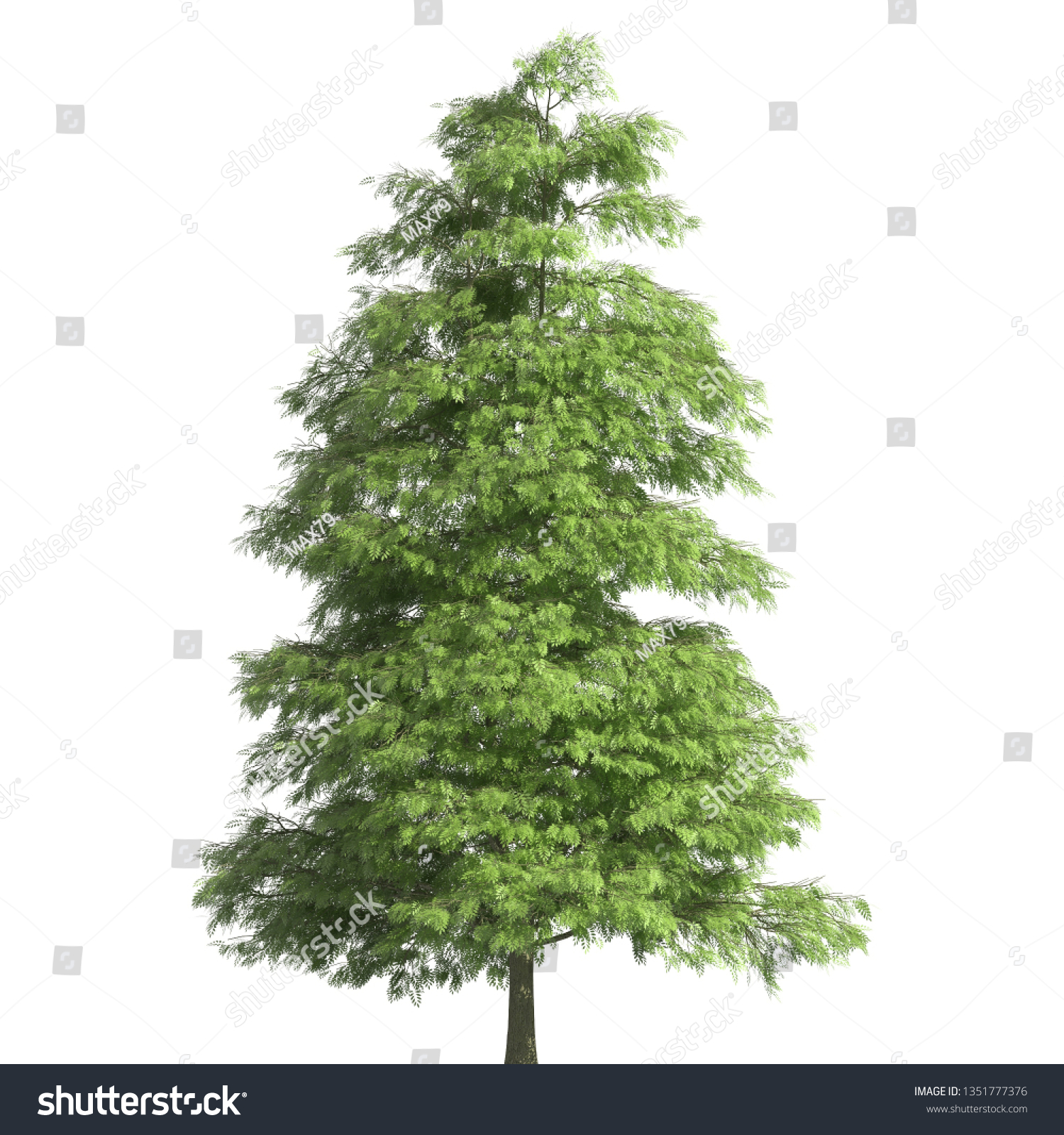 Tree 3d illustration isolated on the white background #1351777376