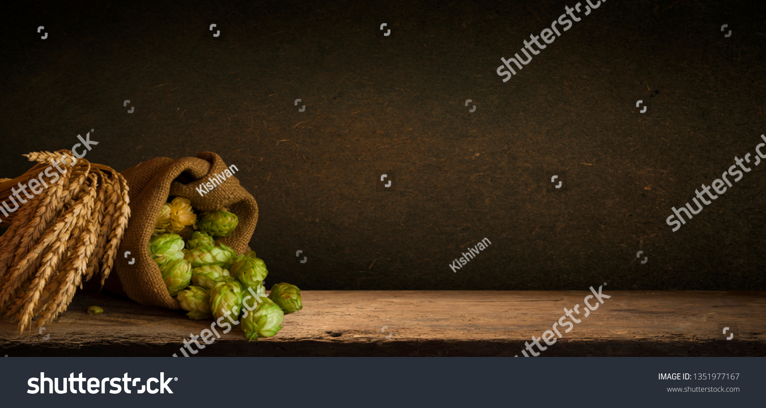 Hop twigs frame over wooden cracked table background. Vintage toned. Beer ingredients. Beautiful fresh-picked whole hops with green leaves border design close-up. Brewing concept, Vertical image #1351977167