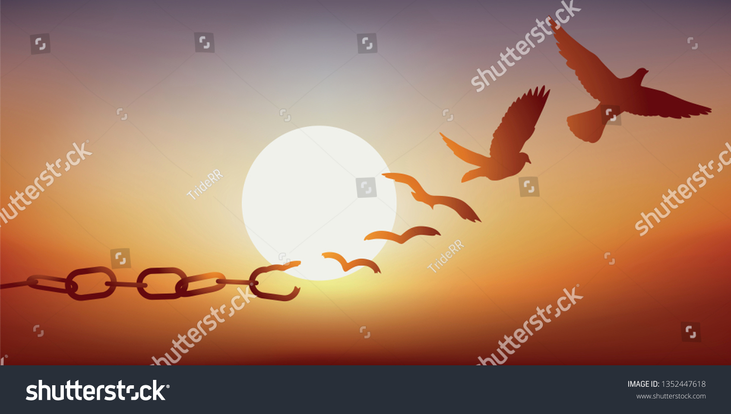 Concept of liberty found, with chains breaking and turning into a dove flying off at sunset. #1352447618