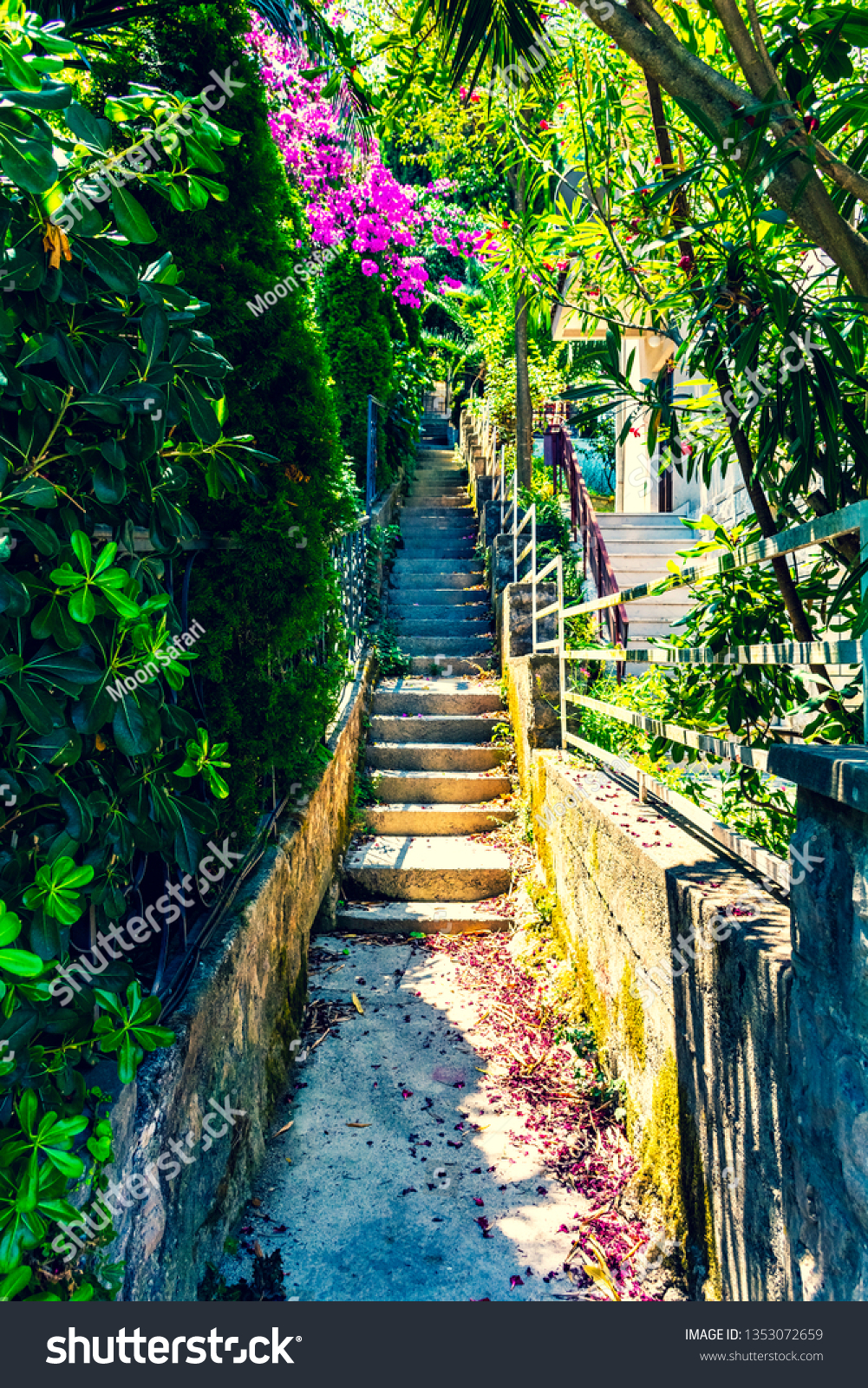 Stairway surrounded with trees greenery bushes and foliage - Summer scene of intimate stairways #1353072659