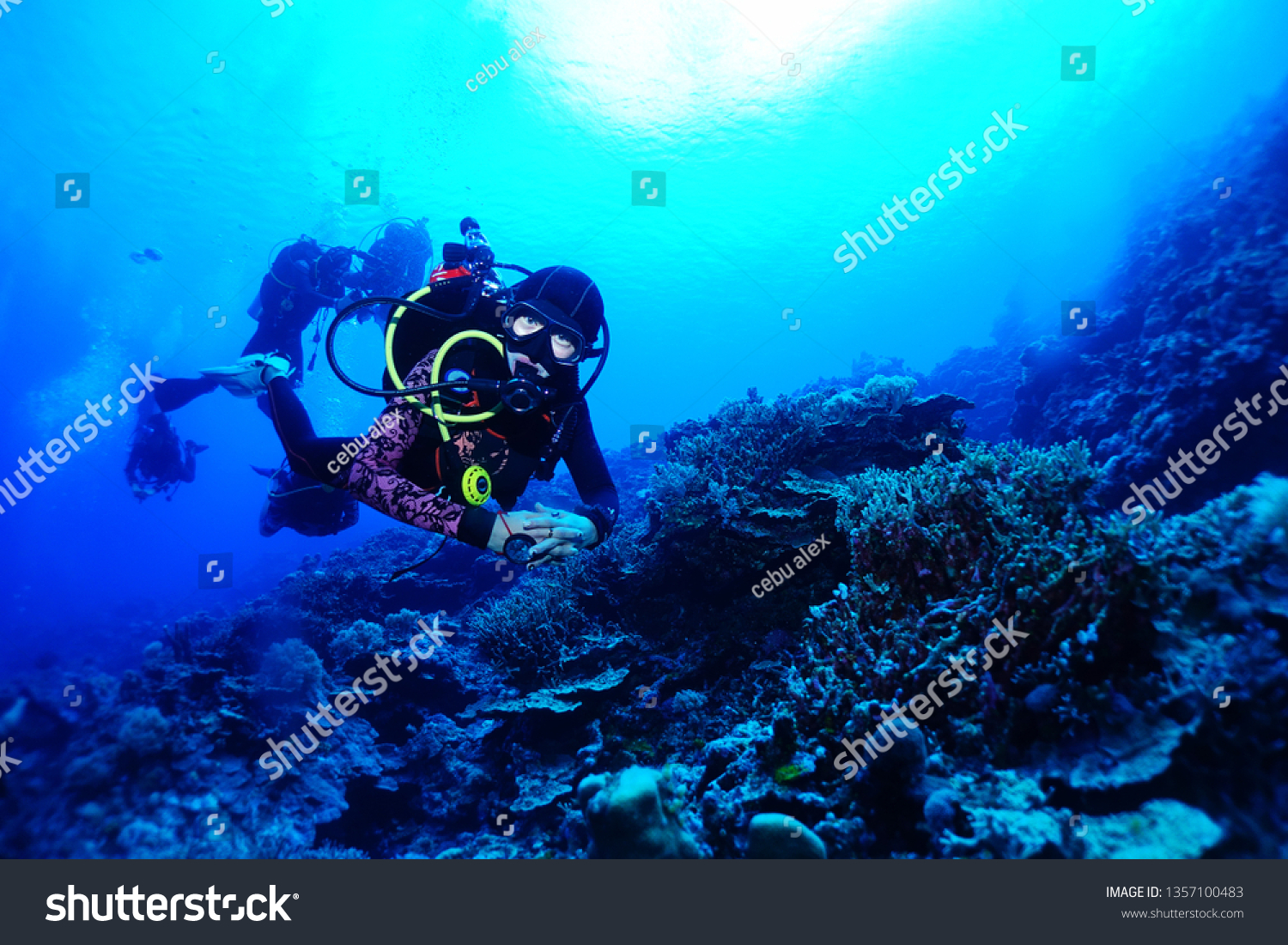   scuba diving philippines                               #1357100483