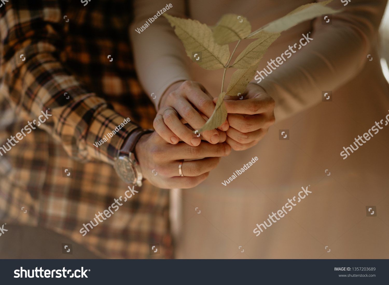 couple holding the branch of the tree with leaves together #1357203689