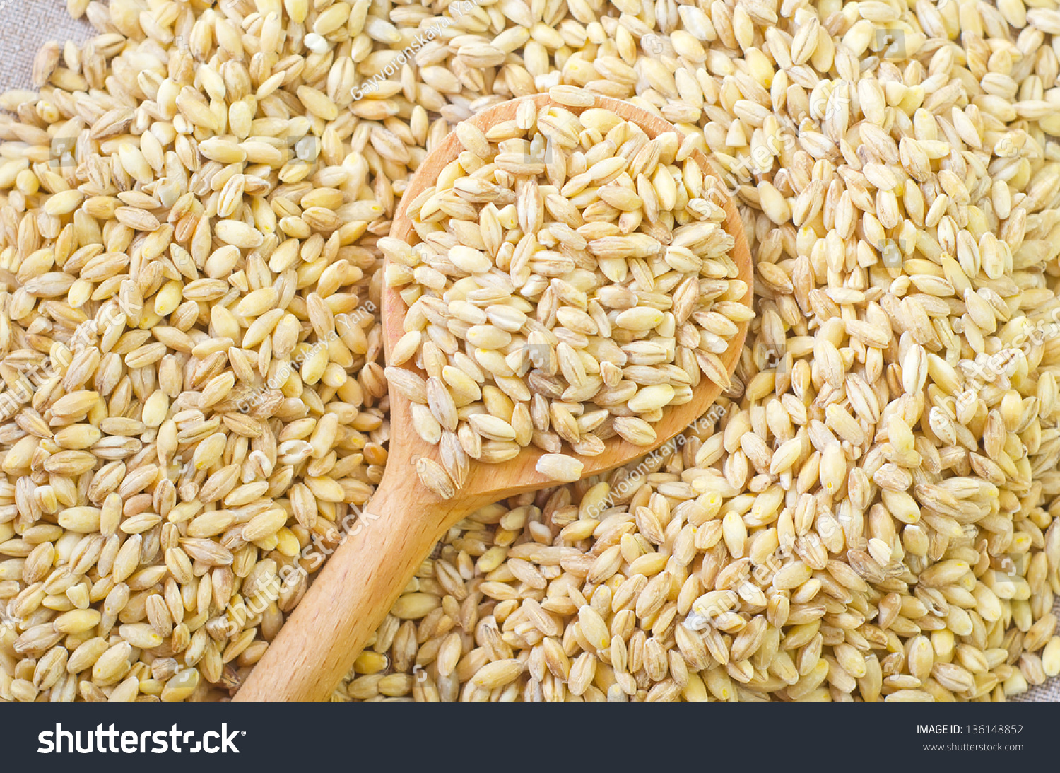 wheat #136148852