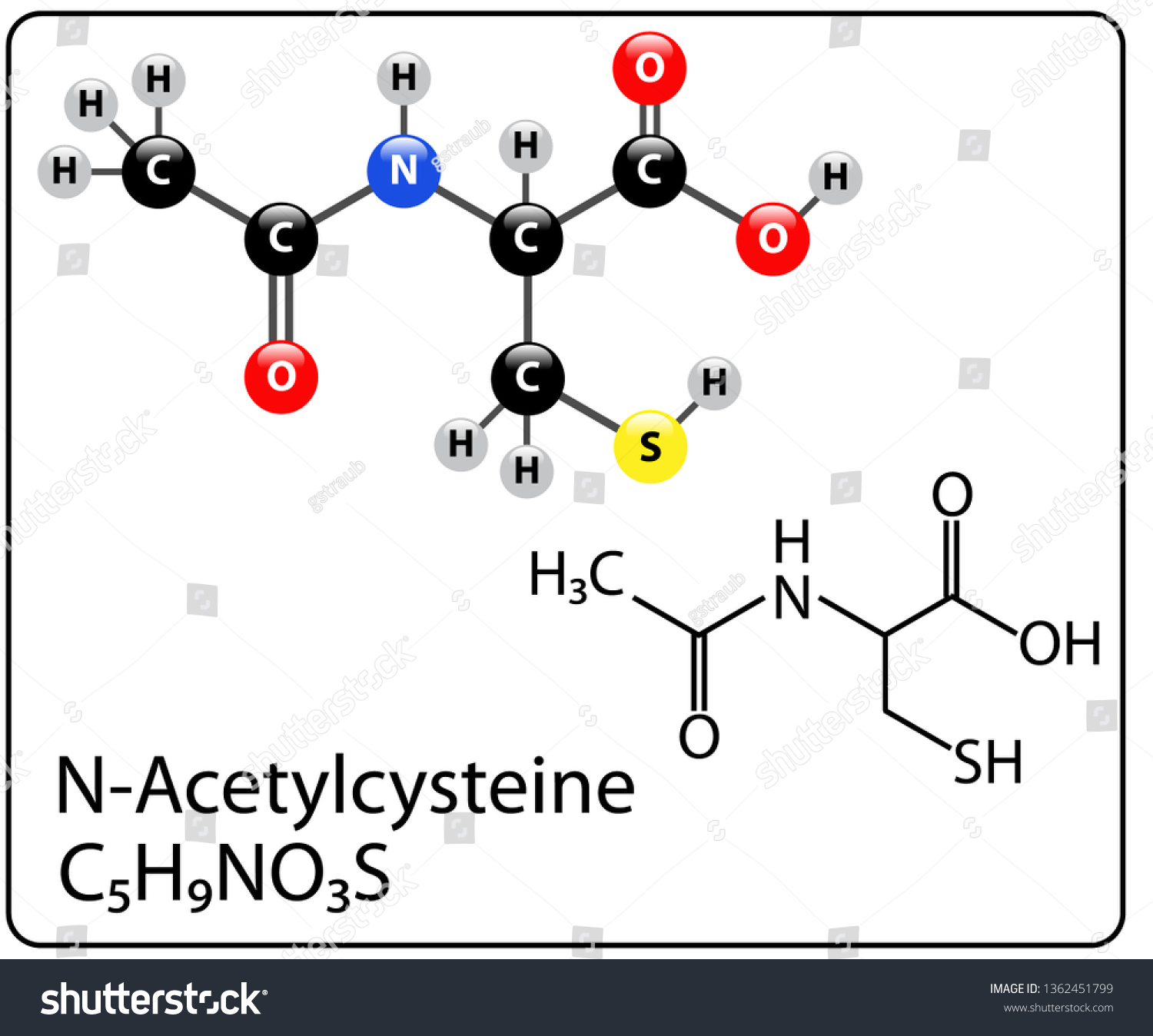 N-Acetylcysteine Molecule Structure - Royalty Free Stock Vector ...