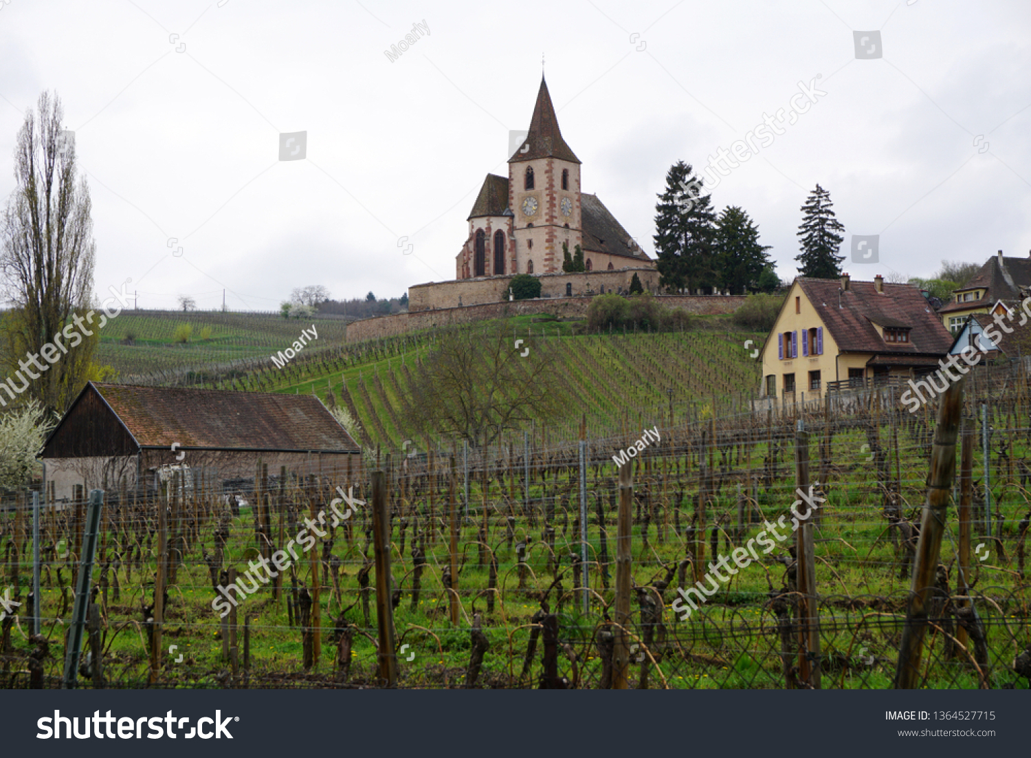 Fortified church on the hill in Hunawihr in the Alsace Haut-Rhin region of France                             #1364527715