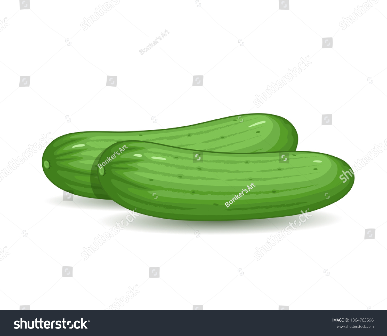 Vector illustration of Cucumber on white background #1364763596