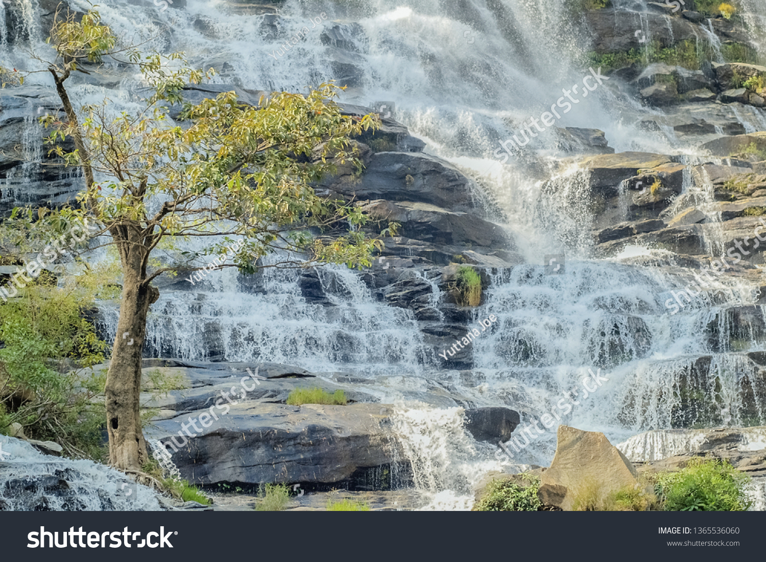 Beautiful green tree with waterfall flowing background, Mae Ya Waterfall, Chom Thong District, Chiang Mai, Thailand. #1365536060