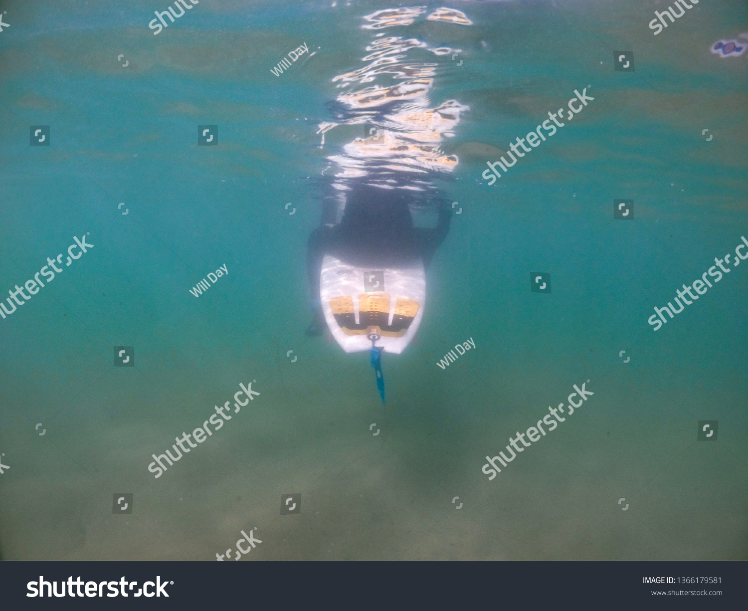 A surfer in a wetsuit sits submerged on his surfboard in the turquoise waters of the Atlantic ocean - South coast Cornwall. The waters are shallow with sand on the sea floor #1366179581