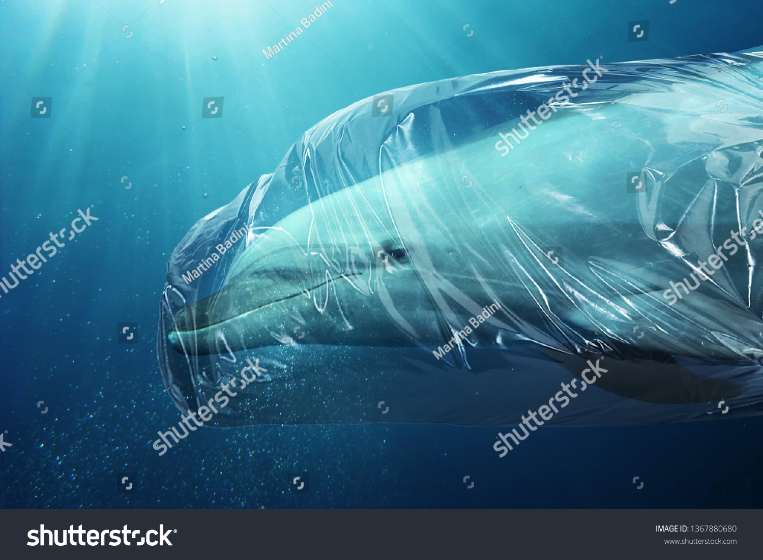 Dolphin trapped in a plastic bag. Pollution in oceans concept. #1367880680
