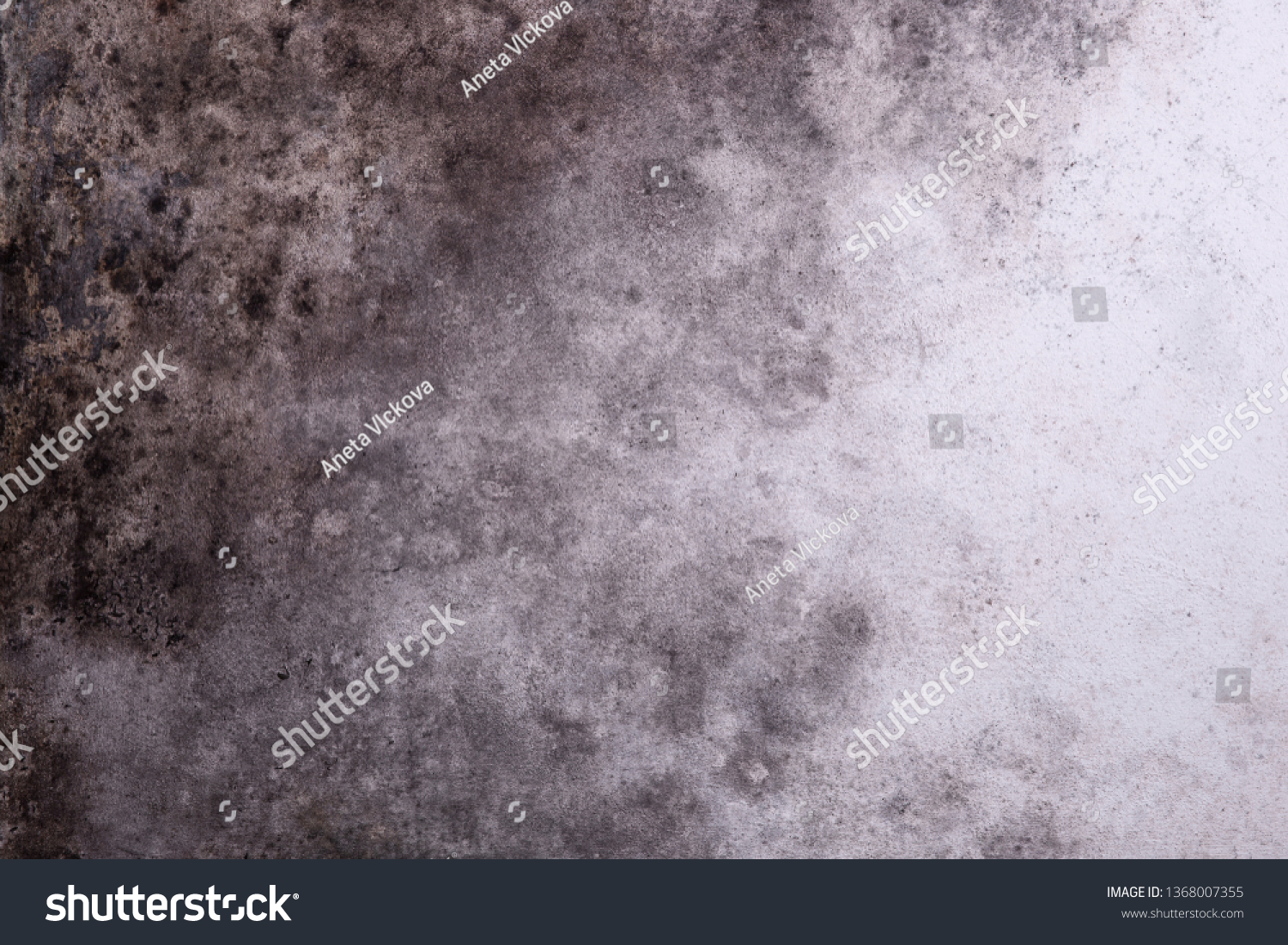 Gloomy grungy background with mold #1368007355