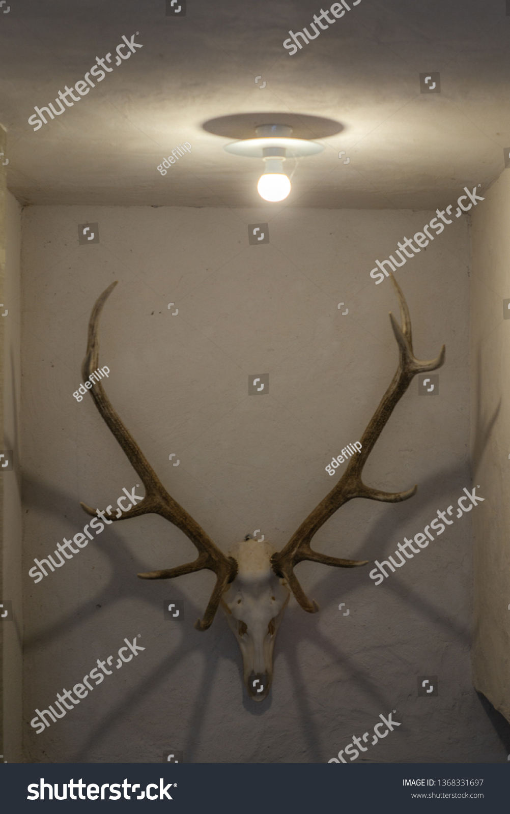 Deer antlers hanging on a wall in Switzerland #1368331697