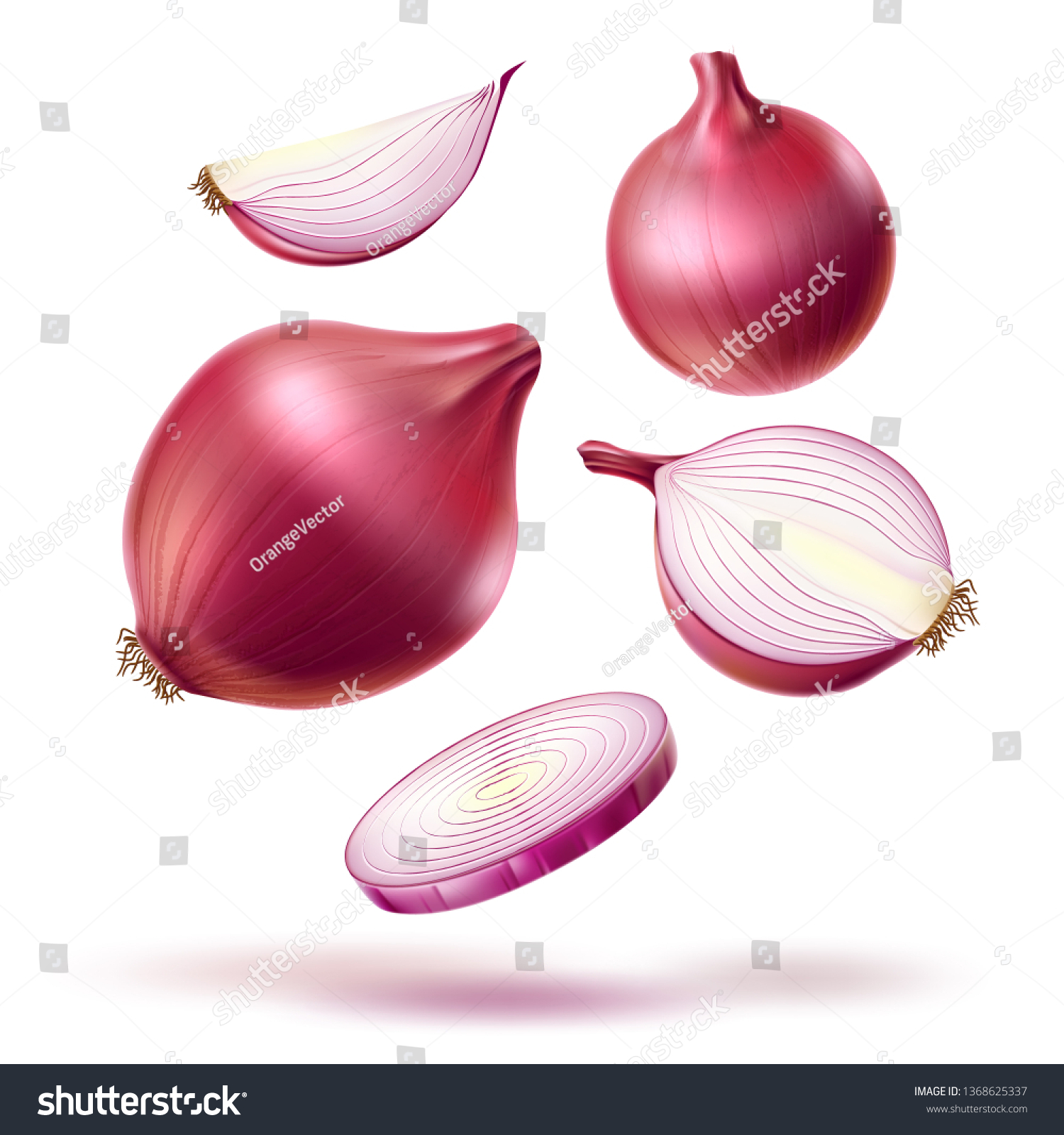 Realistic red onion whole bulb, slices mix. Fresh natural food for product package, menu design. Vector ripe sliced onion for healthy cooking. Natural and vegetarian dieting. #1368625337