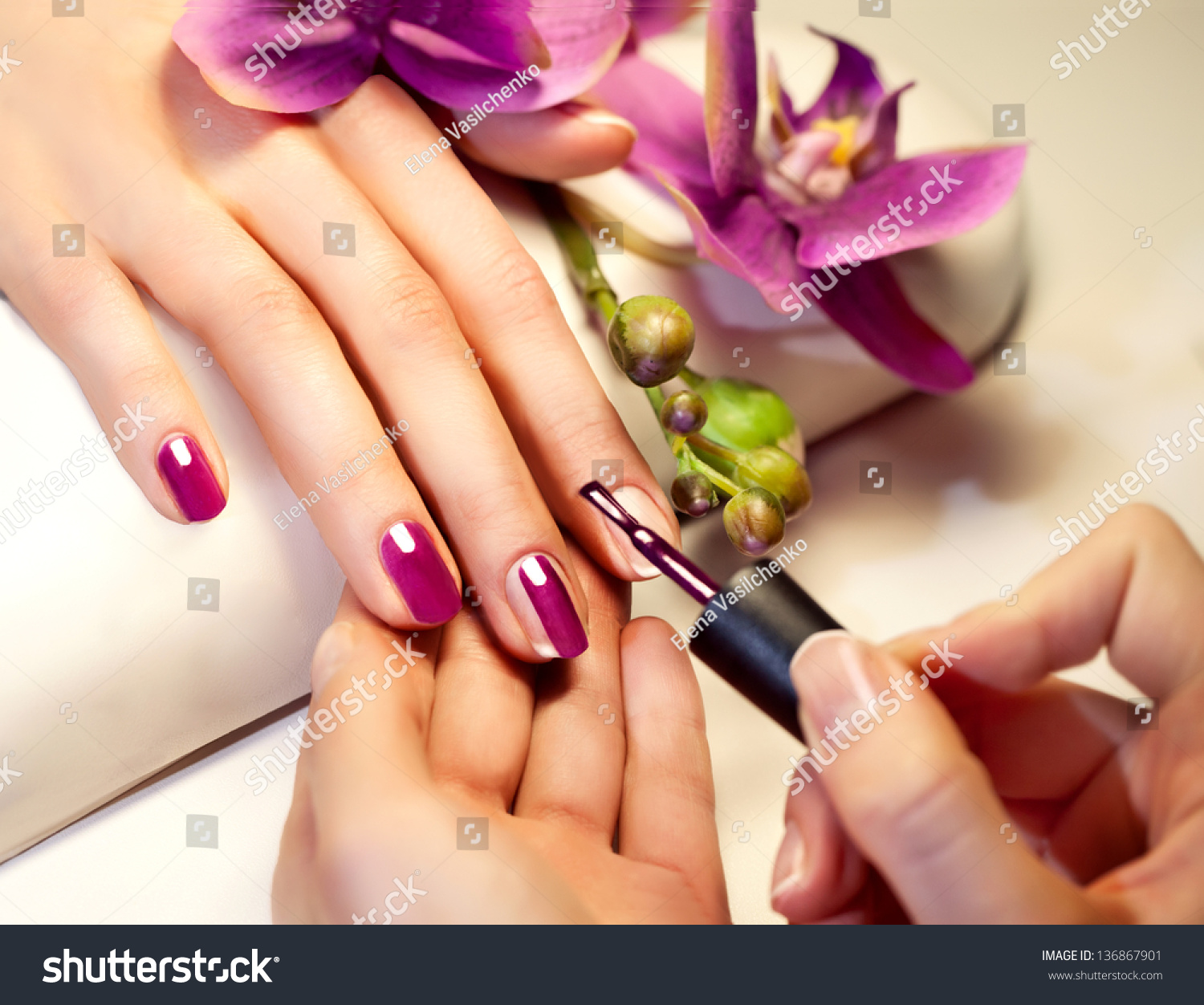 Manicure nail paint pink color #136867901