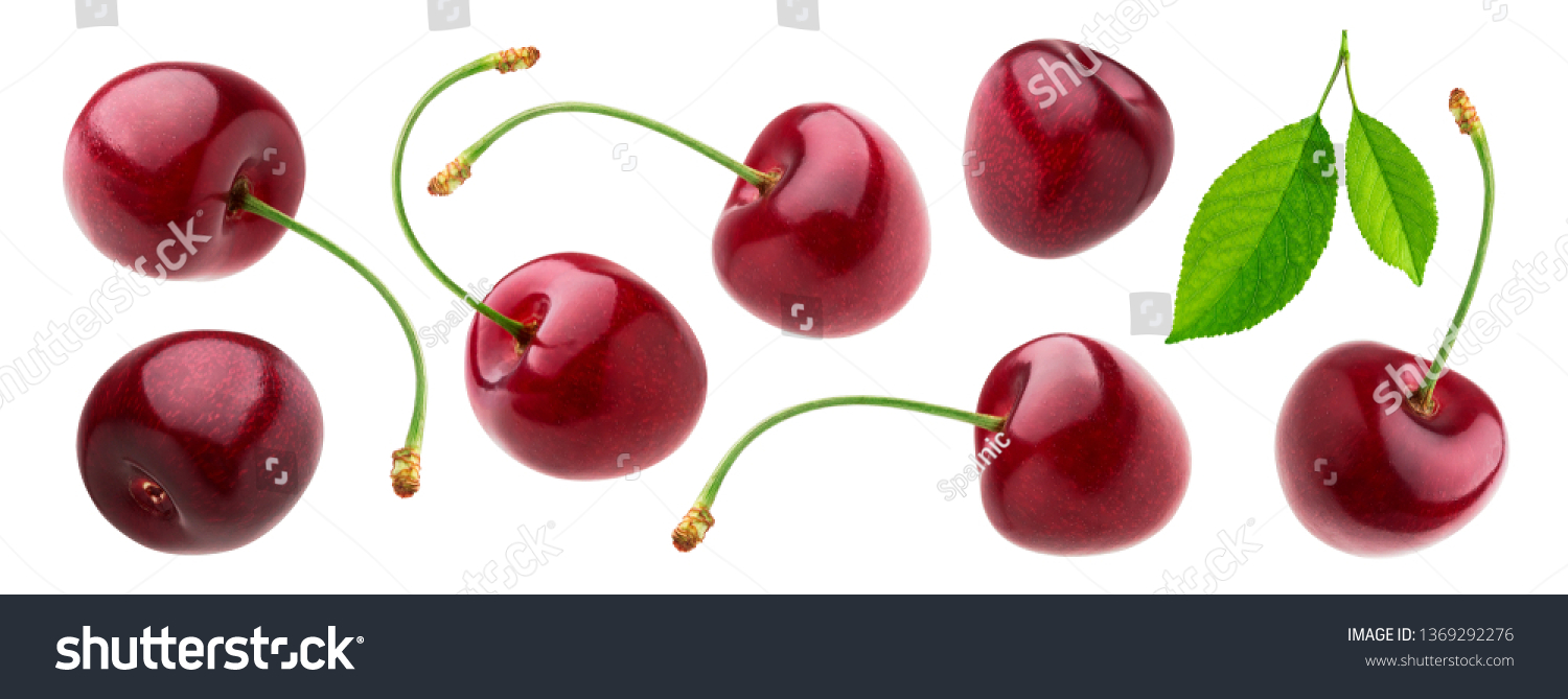 Cherry isolated on white background with clipping path, fresh cherries with stems and leaves, berry collection #1369292276