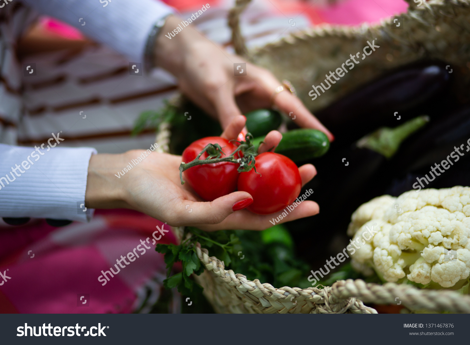 woman hands hold tomatoes and cucumber with basket of Cauliflower and aubergine in the garden #1371467876