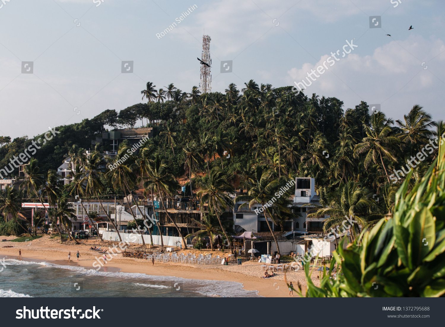 tropical coastline of coconut trees and beach #1372795688