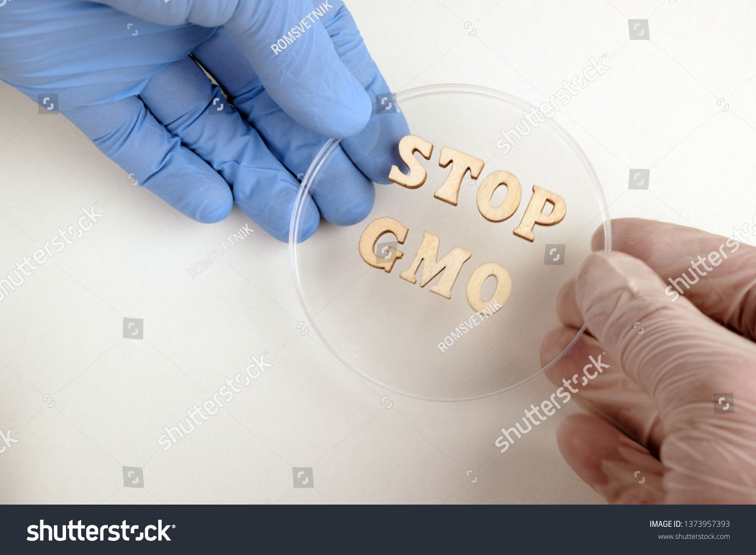 STOP GMO from wooden letters.One hand in a white medical glove and the other in a blue lab glove together hold a petri dish.Concept of protest, prohibition of experiments on genetic food modification. #1373957393