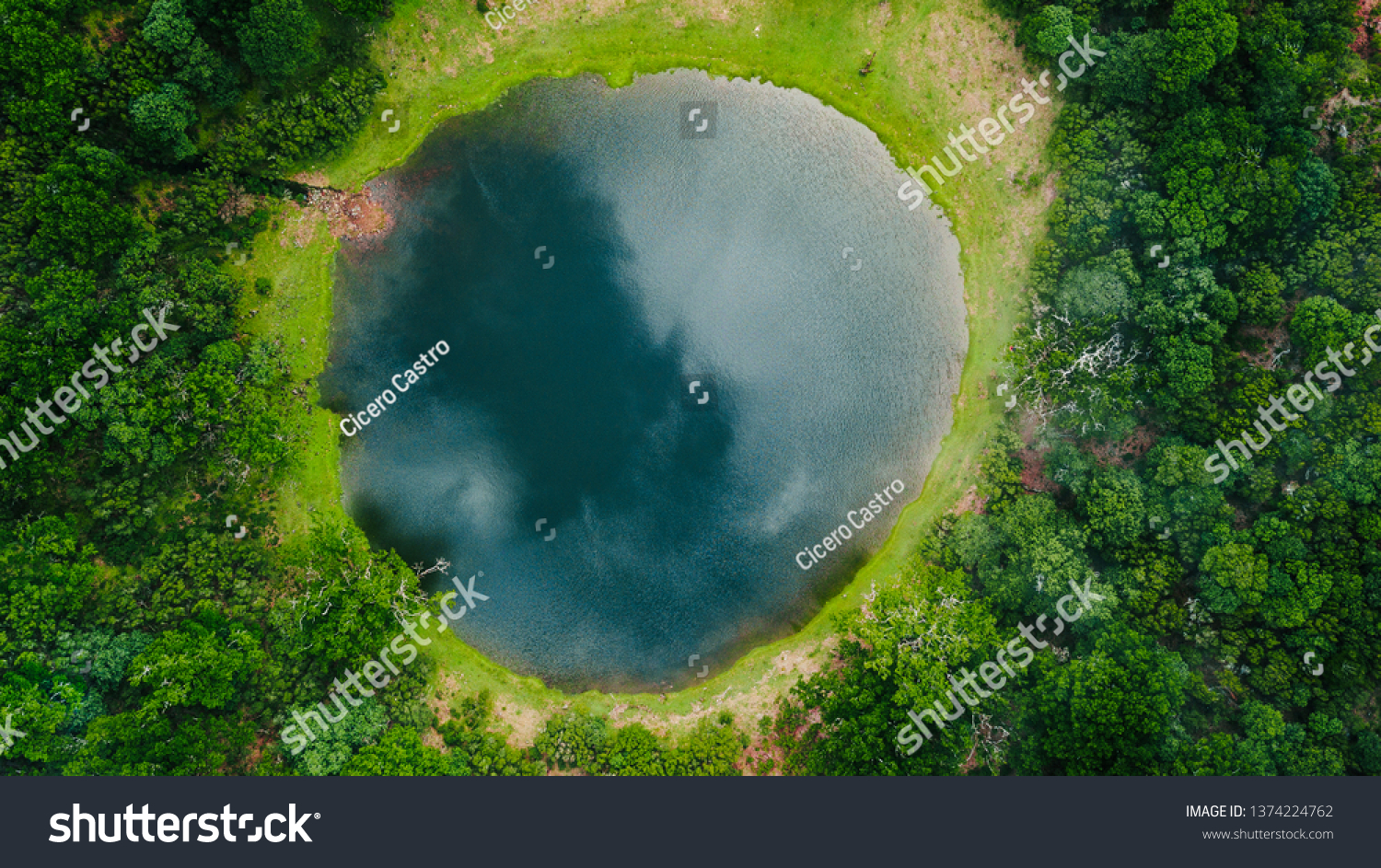 Aerial view of natural pond surrounded by pine trees in Fanal, Madeira island, Portugal #1374224762