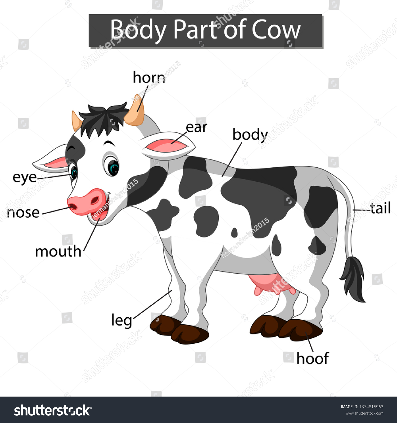 Diagram showing body part of cow - Royalty Free Stock Vector 1374815963 ...