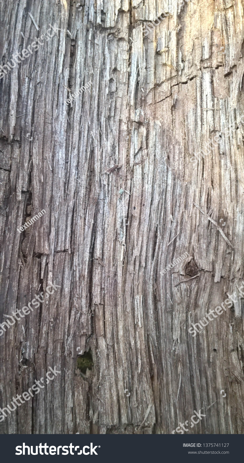 background wood oak old branch vintage shabby #1375741127