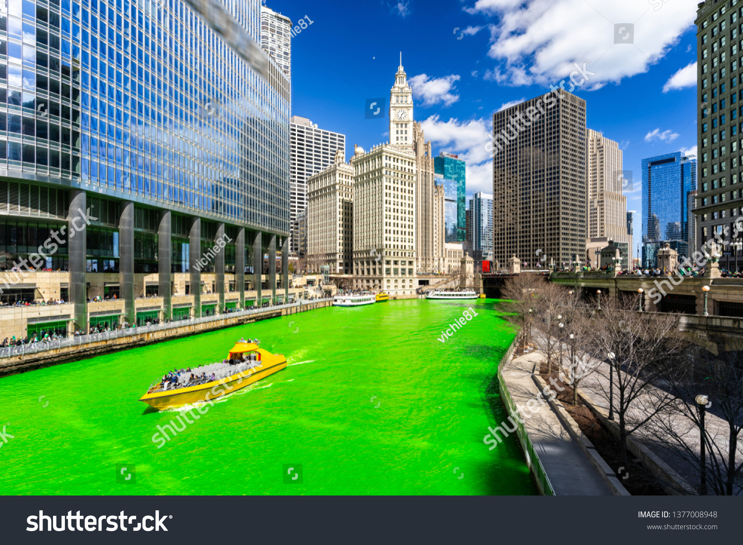 Chicago Skylines building along green dyeing river of Chicago River on St. Patrick's day festival in Chicago Downtown IL USA #1377008948