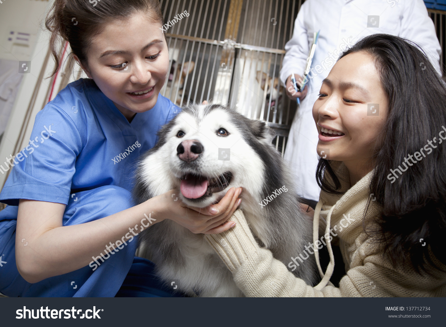 Woman with pet dog and veterinarian #137712734