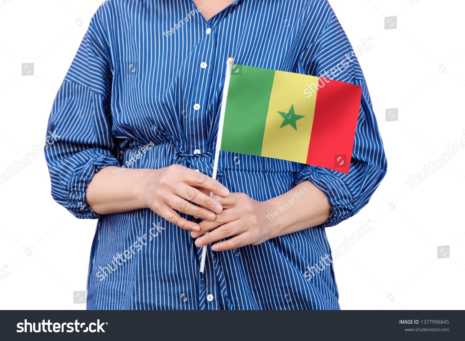 Senegal flag. Close up of woman's hands holding a national flag of Senegal isolated on white background. #1377996845