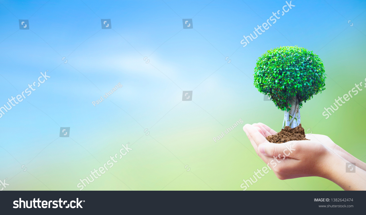 World Environment Day concept:  hands holding big tree over  sky background #1382642474