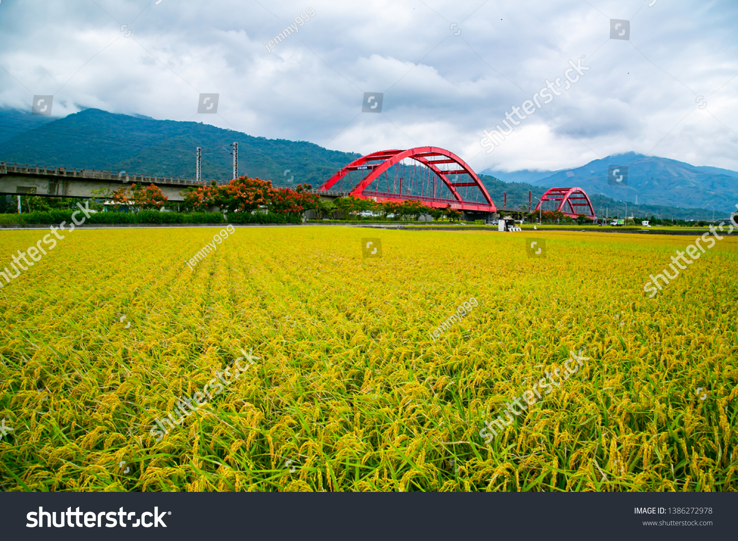Hualien village and train scenery in eastern Taiwan, the Chinese characters on the bridge are: "Hualien No. 1 Bridge and No. 2 Bridge" #1386272978